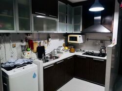 Blk 106C Punggol Field (Punggol), HDB 4 Rooms #431083541